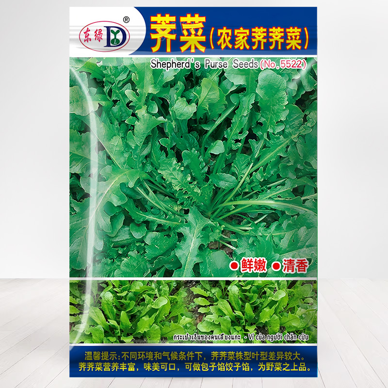 秋冬季大叶荠菜种子买2送1