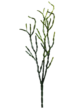 客厅仿真花卉绿色植物