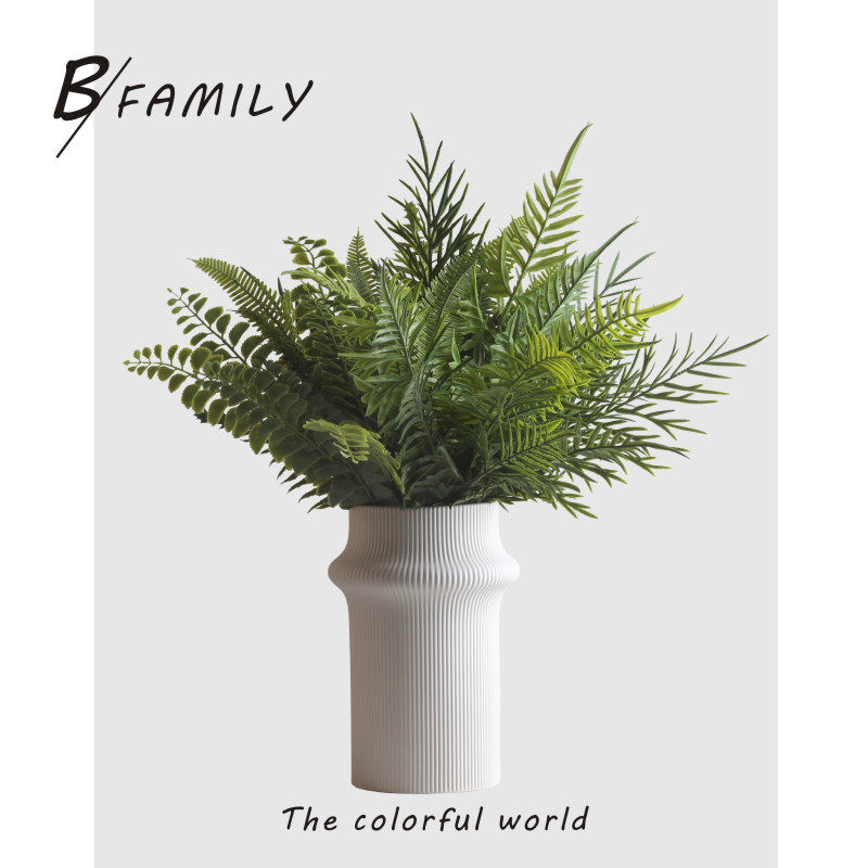 可爱家家居仿真花蕨类植物图片