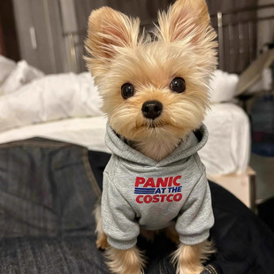 美式休闲风猫咪连帽卫衣狗狗印花宠物套头秋冬春衣服中型犬泰迪