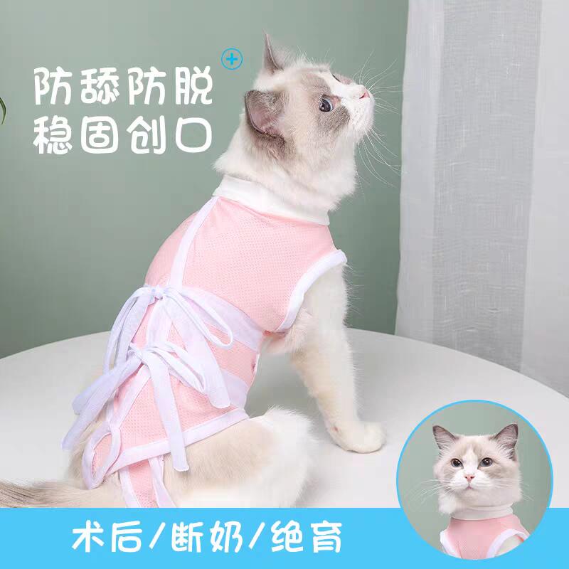 猫咪手术服宠物绝育服母猫断奶服防舔毛术后衣服宠物术后用品郑州