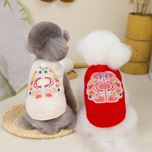 冬天小型幼犬泰迪比熊雪纳瑞冬季