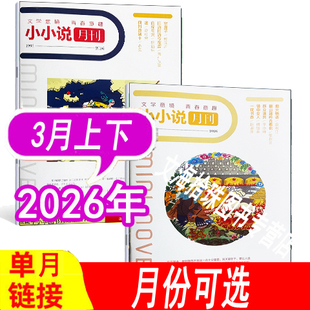 【全年套餐可选】小小说月刊杂志2026年1/2/3月/2025年1-4/5/6/7/8/9/10/11/12月+2024年等可选 小说故事过期刊短片微型文章小说类