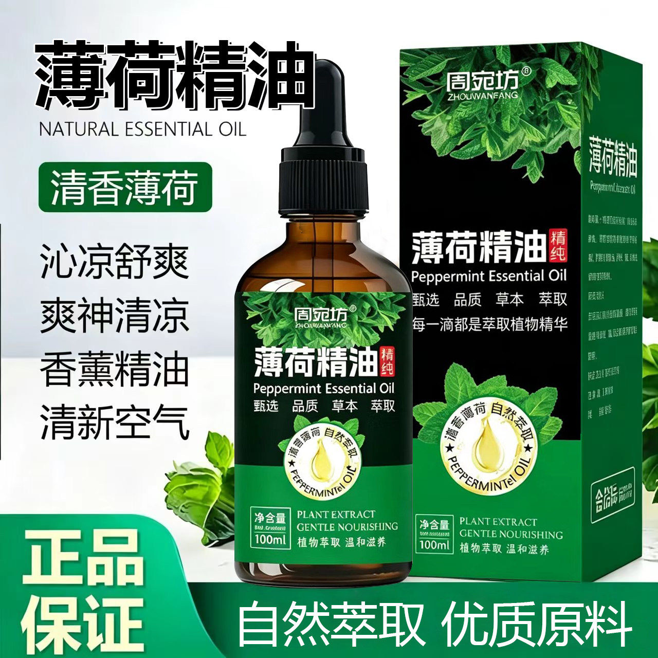 天然植物提取薄荷精油