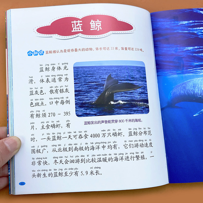 海洋动物百科全书彩图注音版科普读物绘本小学生儿童海洋动物书了解