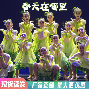 小荷风采春天在哪里儿童舞蹈演出服幼儿园蓬蓬裙纱裙舞台表演服装
