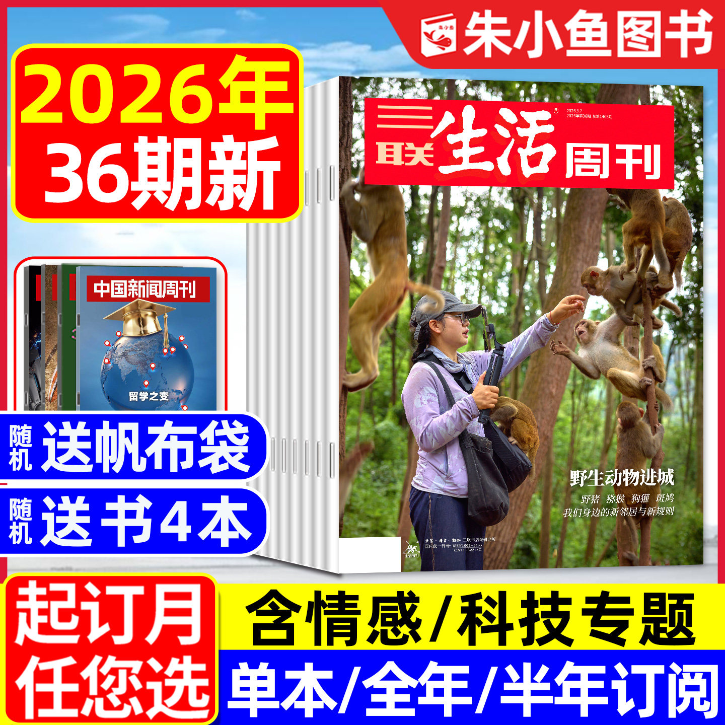 三联生活周刊2026年36期新/订阅图片