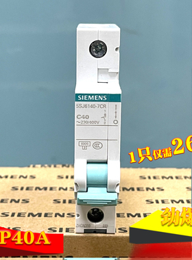 西门子空气开关断路器家用交流1P40A单进单出绿色手柄 5SJ61407CR
