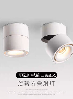 明装射灯led洗墙灯家用客厅照画背景墙走廊天花灯可调角度cob筒灯