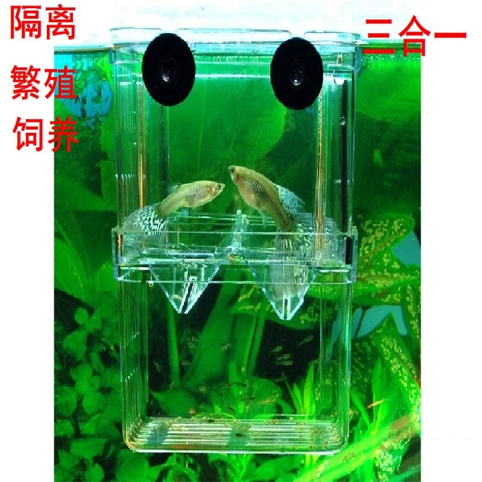 幼鱼孵化盒斗鱼盒繁殖盒孔雀鱼繁殖器幼鱼隔离盒双层自浮式鱼苗盒