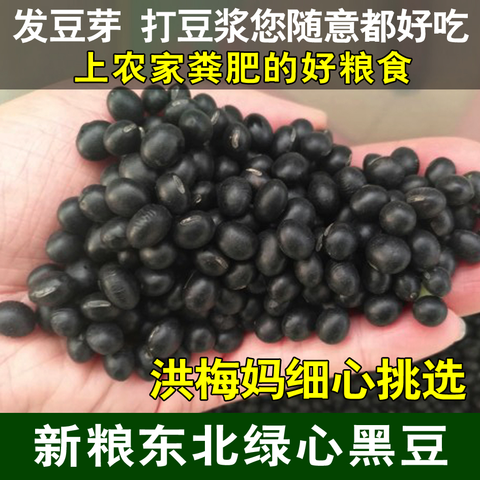 2024东北黑豆绿芯黑豆新黑豆农家黑豆大粒绿仁绿芯黑豆500克新