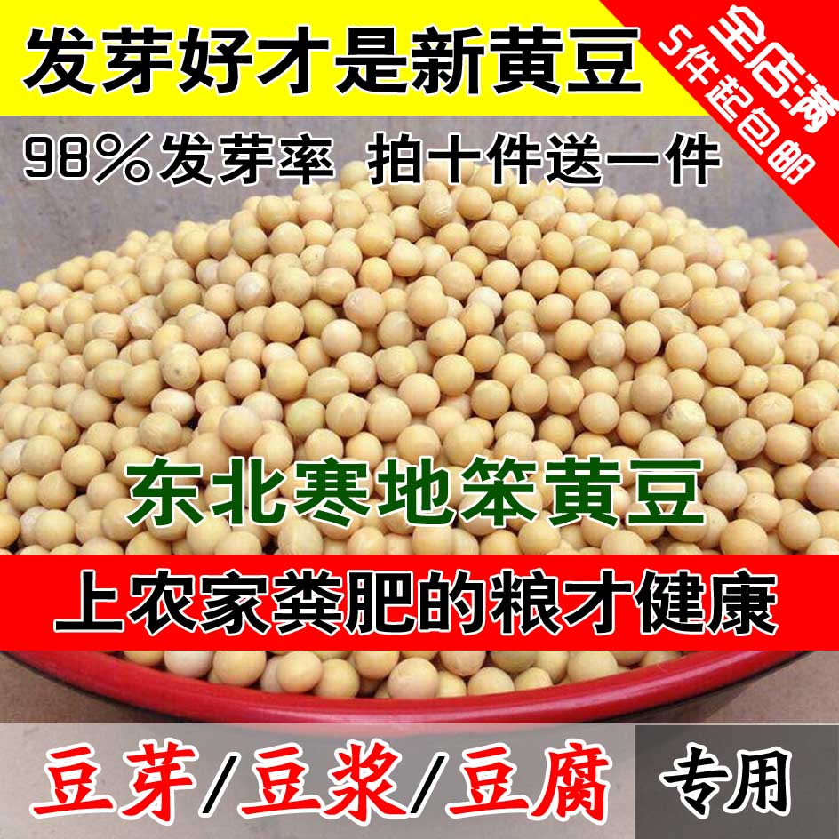 东北黄豆黄豆芽豆浆豆腐新大豆