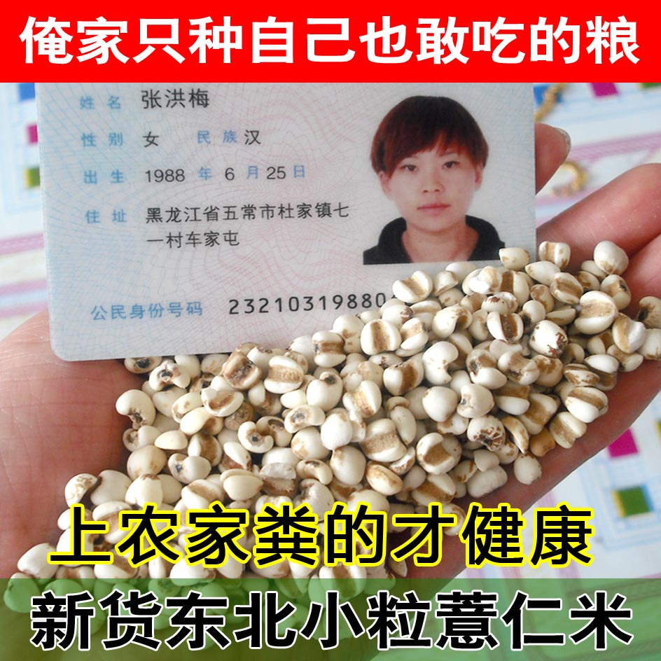 东北新粮薏米仁优质小薏仁米苡米