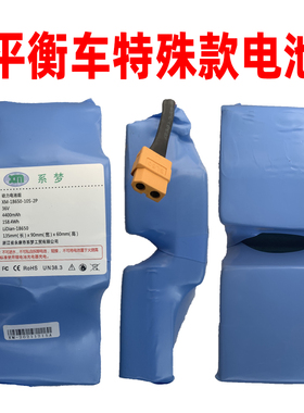 领奥 左拉 烁影平衡车锂电池系梦36V42V通用凹槽款10节20大容量锂