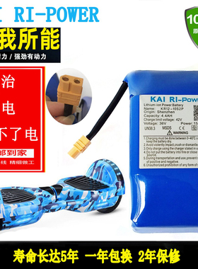 kai-ri凯日平衡车锂电池42v两轮电动平衡车锂电池扭扭车电瓶16850