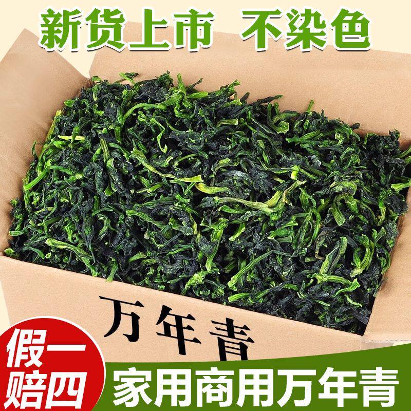 万年青菜干橄榄菜干货大全泡面伴侣农家菜芯干菜心脱水蔬菜商用