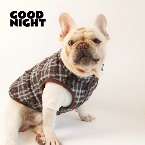 GOODNIGHT晚安法斗巴哥柯基法斗衣服秋冬款狗狗衣服保暖格子棉服