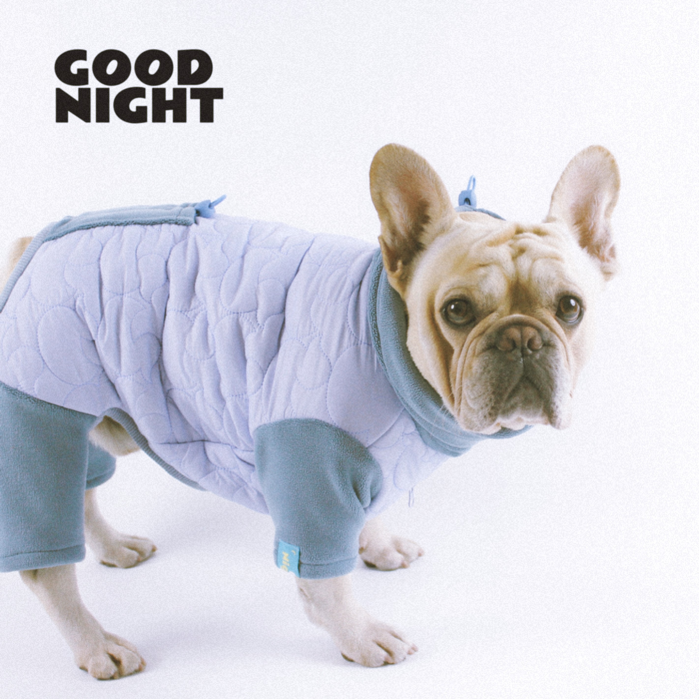GOODNIGHT晚安法斗巴哥柯基法斗衣服秋冬狗狗衣服保暖加绒四脚衣