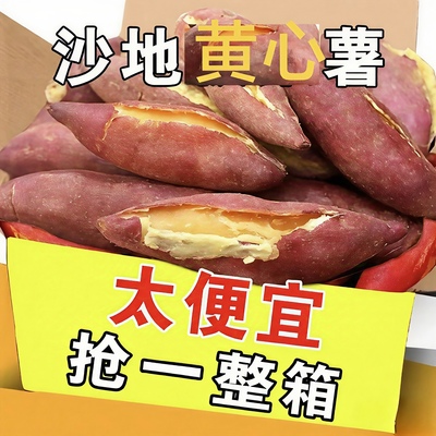 《精品推荐》新鲜黄心龙九蜜薯沙地红薯地瓜新鲜沙地番薯