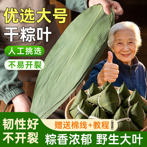 干粽叶粽子叶特大号新鲜包粽子
