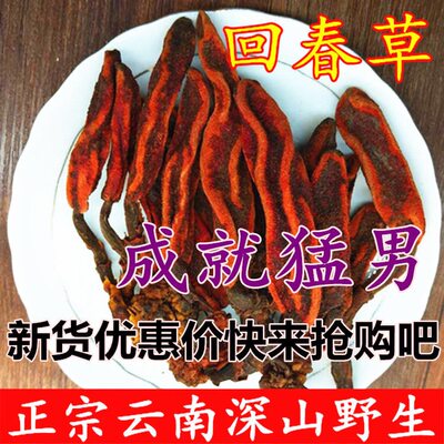 精选特级大条顶天柱回春草不老草云南野生草苁蓉500克泡酒料泡水