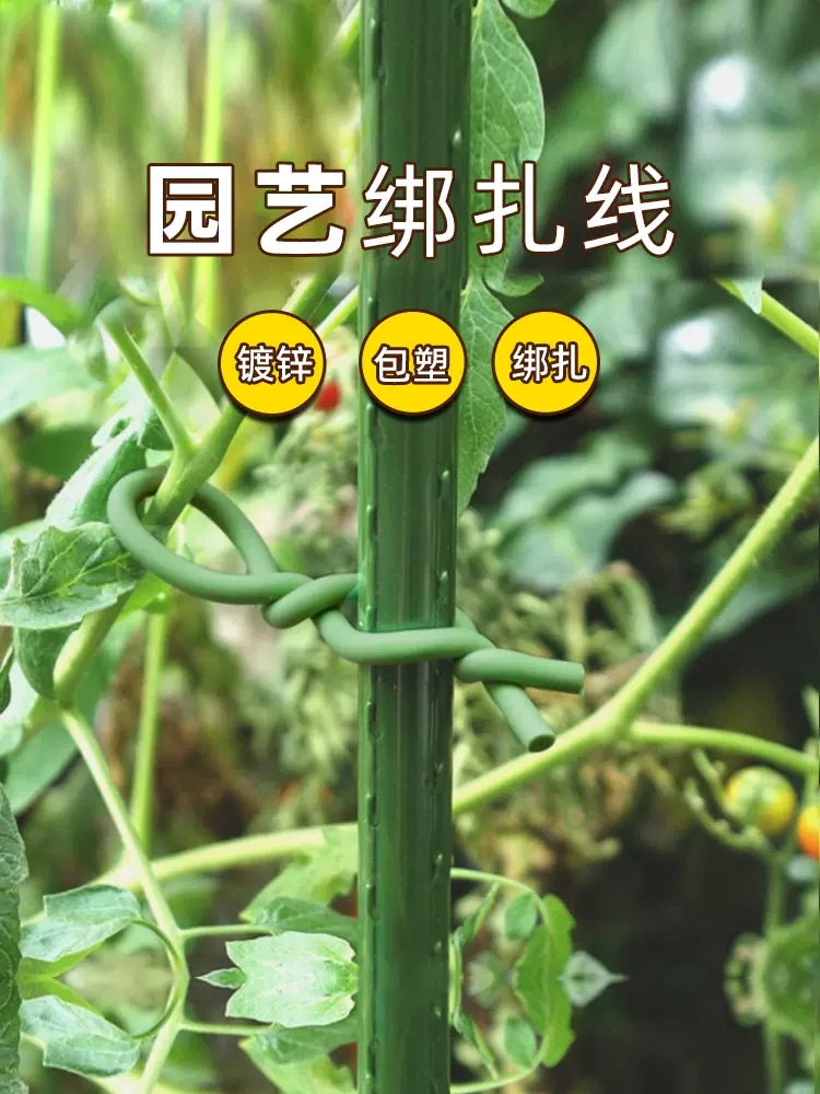 园之助爬藤攀援植物软扎线