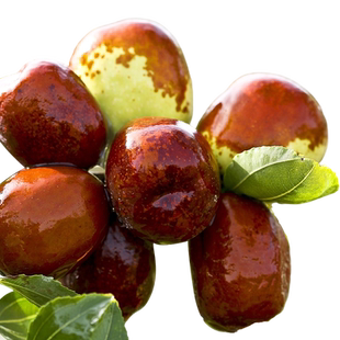 虹越枣树苗果苗活苗大冬枣树苗南方北方盆栽地栽种植简单易养