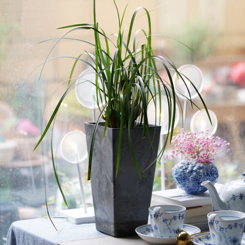 【虹越】ARTSTONE仿石花纹艾拉高柱型花盆水泥仿石树脂阳台种植盆