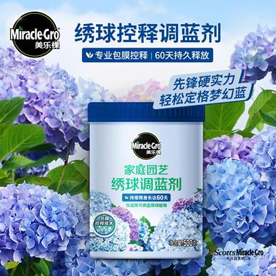 美乐棵绣球花专用调蓝剂500g硫酸铝酸性颗粒大花绣球无尽夏变蓝肥