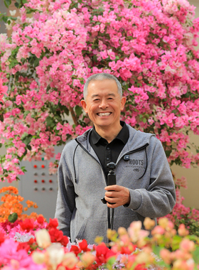 花彩三角梅高飘小型游龙款卡亚塔多季开花树盆栽精品大苗爬藤老桩