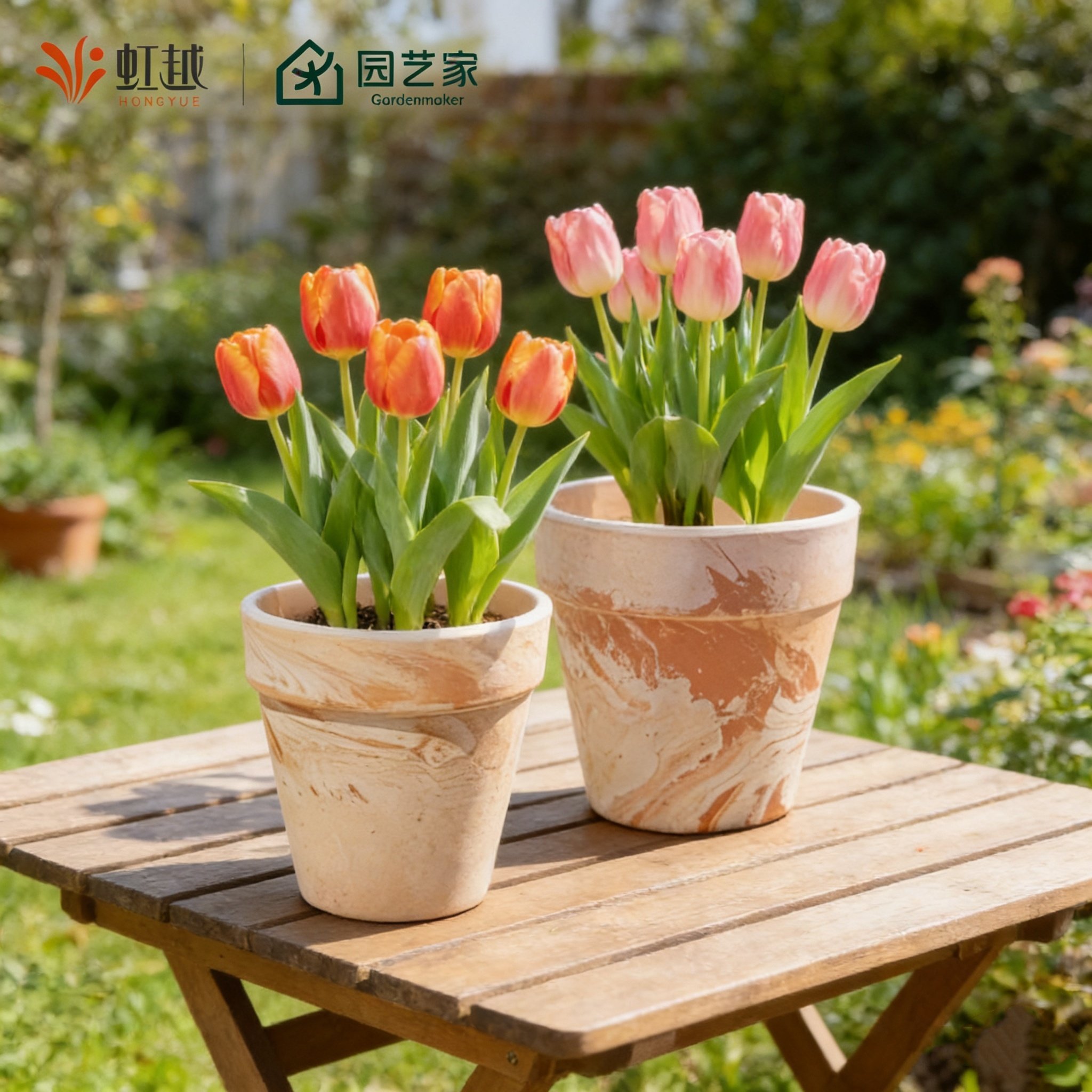 ��Խ԰�ռ���������������͸��������������춥�����С������ 7.98Ԫ