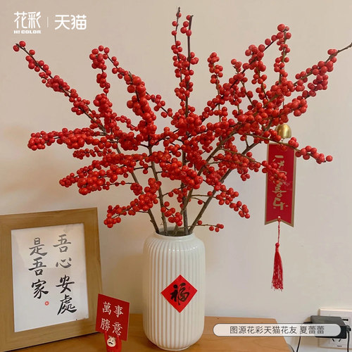 虹越北美冬青切枝客厅办公室书房