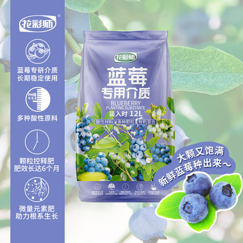 花彩师蓝莓土新手也能种好蓝莓
