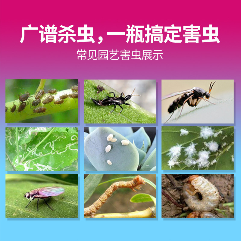 国光施奇多肉植物花卉通用除蚜虫防蚧壳虫小白药吡虫啉土壤杀虫剂怎么样,好用不?