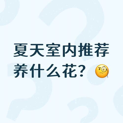 夏季室内耐热好养堇兰彩叶芋