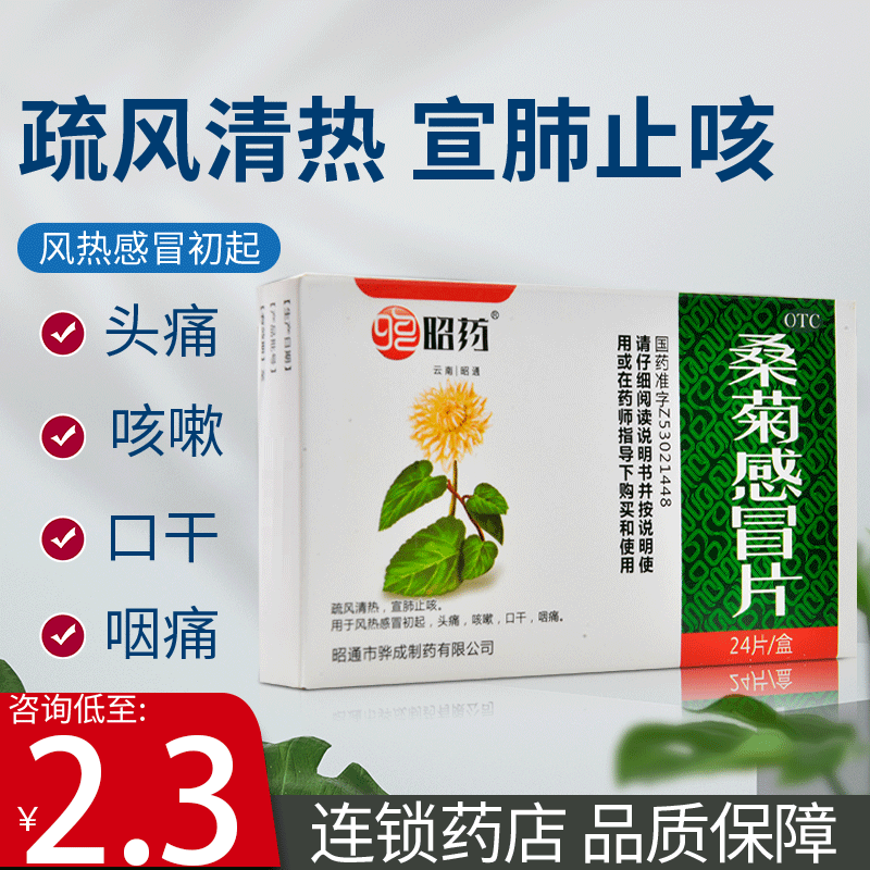 昭药桑菊感冒片24片疏风清热宣肺止咳感冒头痛咳嗽口干咽痛