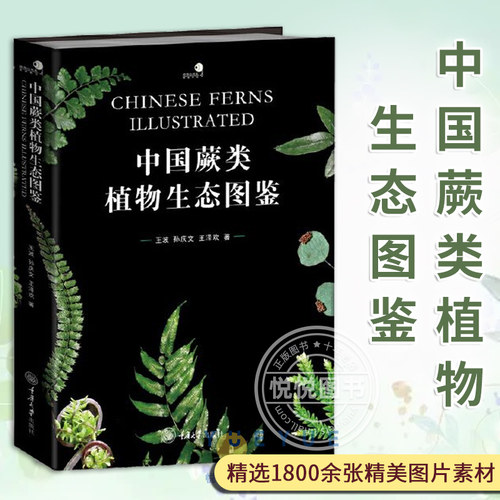 【正版新书】 好奇心书系.图鉴系列 中国蕨类植物生态图鉴 精选1 800余张精美图片素材 介绍了36科130属574种蕨类植物的名称特征