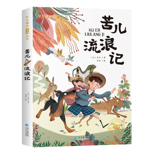 国际大奖课外阅读注音版苦儿流浪记 二年级儿童文学系列课外阅读书籍6-8岁以上适合小学生看的少儿名著故事书小学三年级