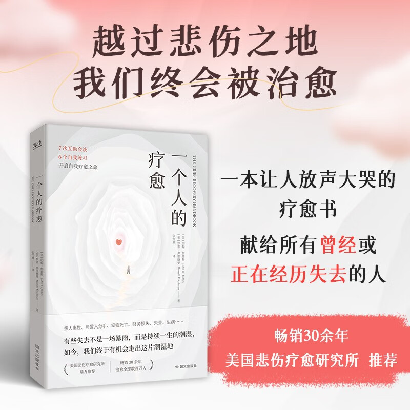 【官方正版】一个人的疗愈书籍樊登推荐 一本让人放声大哭的疗愈书 越过悲伤之地我们终会被治愈互助会谈自我练习开启自我疗愈之旅