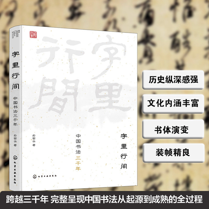 字里行间 中国书法三千年 中国书法文字美学书法书体兴衰变化 中国书法历史流源 书法鉴赏知识 书法鉴赏讲解分析 书法爱好者参考书