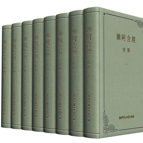 《杂阿含经》校释(精) 王建伟,金晖 全国古籍图书一等奖 佛学研究书籍 补全佚经 华东师范大学出版社