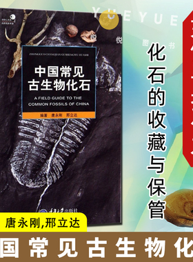 好奇心书系 中国常见古生物化石 唐永刚 如何寻找化石 化石的收藏与保管 中国*古生物化石群 自然科普书籍 重庆大学出版社