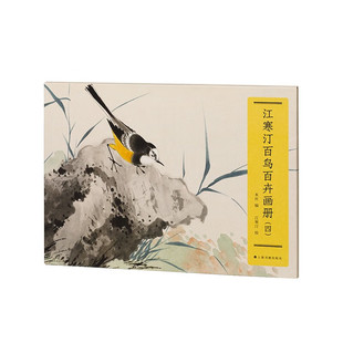 江寒汀百鸟百卉画册(四) 江寒汀 高清印刷百鸟百卉 前无古人 画鸟圣手铭心绝品 一花一鸟浓缩精华学画花鸟入门必备 上海书画出版社