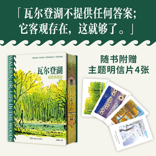 悦悦专享刷边版 瓦尔登湖(插图典藏版) 朗读者朗读书目经典名著外国文学 正版书籍 瓦尔登湖旅游节中文版本 自然文学典范世界名著