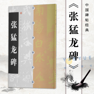 正版中国碑帖经典 张猛龙碑 上海书画出版社 毛笔书法软笔练字贴书籍 初学者临摹字体教程教程书 成人学生临摹帖练古帖练字书籍