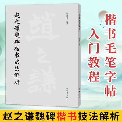 赵之谦魏碑楷书技法解析 楷书毛笔字帖学生成人初学者书法入门教程书籍基本点画偏旁部首原碑帖临摹练字帖 韩建正 河南美术出版社