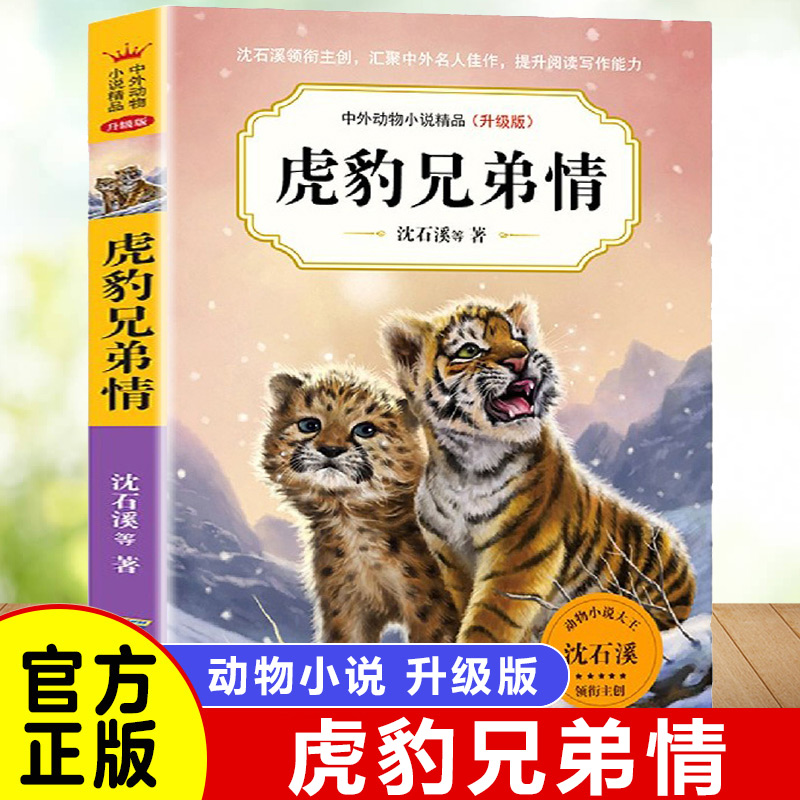 虎豹兄弟情 沈石溪中外动物小说精品升级版全套任选 9-14岁儿童文学励志动物成长故事 三四五六年级小学生课外阅读书籍 复仇的雪狼