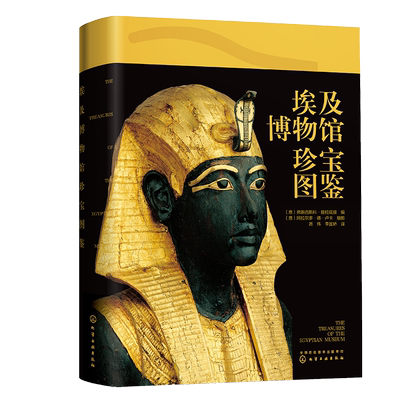 埃及博物馆珍宝图鉴 古埃及看得见的世界史 探秘世界文明古国奇迹金字塔故事埃及通史简史 儿童人文百科 中小学生历史科普类课外书
