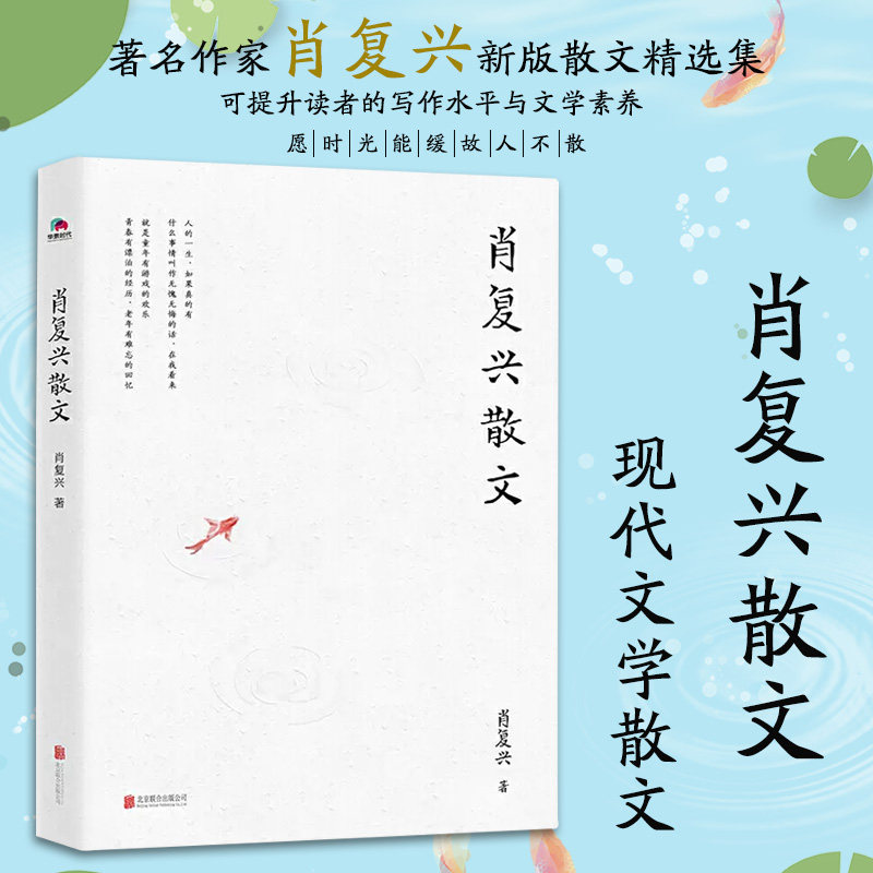 肖复兴散文 肖复兴著 收录花边饺和拥你入睡中小学语文阅读篇目 手绘
