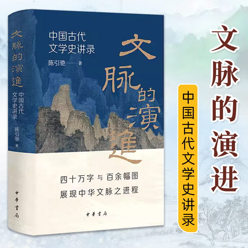 官方正版文脉的演进：中国古代文学史讲录复旦大学陈引驰教授外讲文学史你手边的复旦古代文学史课堂中华书局